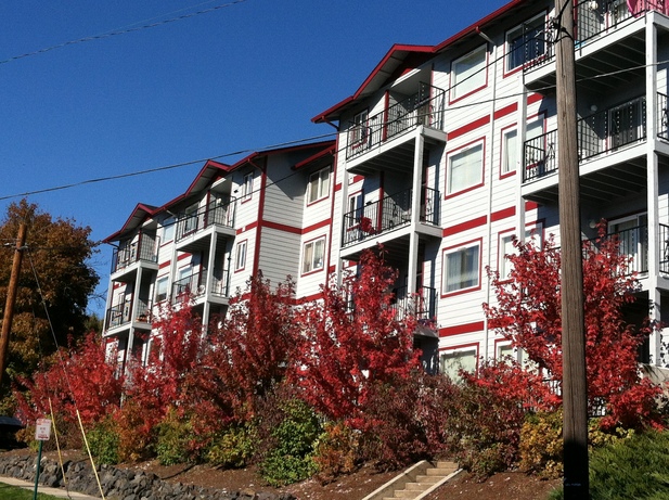 Campus Ridge in Pullman, WA - Building Photo - Building Photo