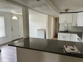 119 South St, Unit A in Waltham, MA - Building Photo