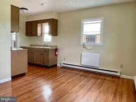 317 BRIDGE in Phoenixville, PA - Building Photo