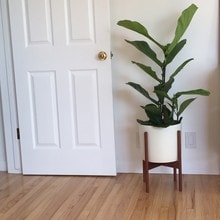 3101 3rd St, Unit 1 in Santa Monica, CA - Foto de edificio - Building Photo