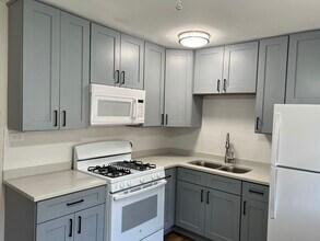 593 Park Plz, Unit 1 in Glen Ellyn, IL - Building Photo - Building Photo