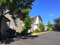 Olive Courts in Auburn, CA - Foto de edificio - Building Photo