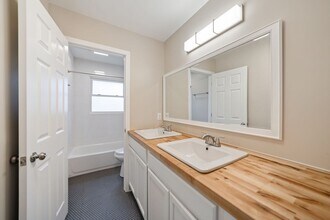 213 Barnes St in Carrboro, NC - Building Photo - Building Photo