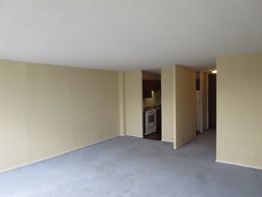 5100 N Marine Dr, Unit 23C in Chicago, IL - Building Photo - Building Photo