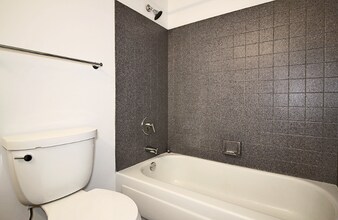 425 E Ohio St in Chicago, IL - Foto de edificio - Building Photo