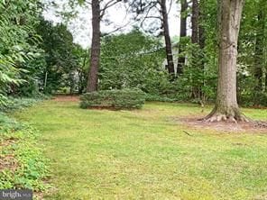 204 Madison Ave in Saint Michaels, MD - Building Photo - Building Photo