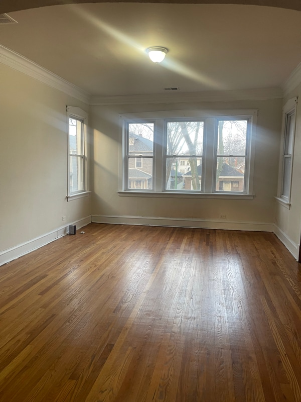 8735 S Manistee Ave, Unit 2 in Chicago, IL - Building Photo - Building Photo