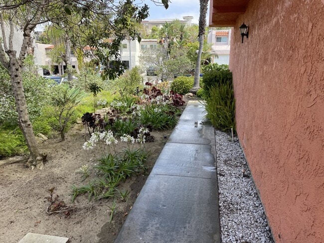 847 Mola Vista Way in Solana Beach, CA - Building Photo - Building Photo
