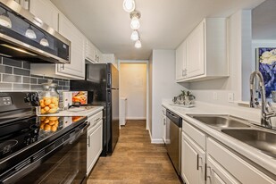 The Domain at Ellington Apartments