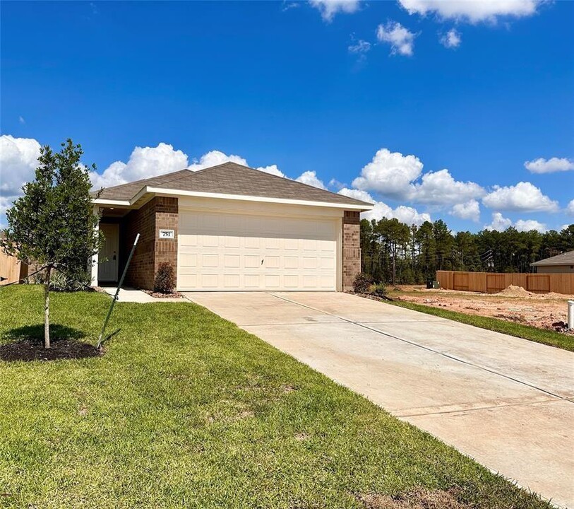 751 Hackberry Br Ct in Magnolia, TX - Building Photo