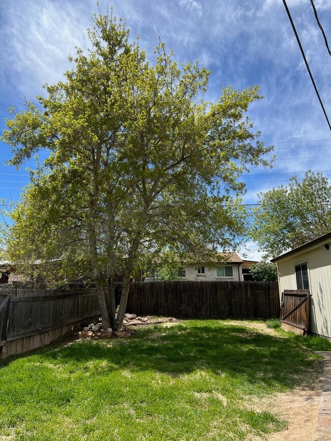 425 S Oak St in Lakewood, CO - Building Photo - Building Photo