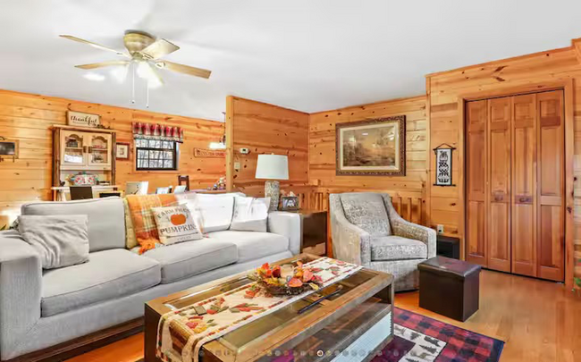 18 Wolf Den Vly Rd in Mineral Bluff, GA - Building Photo - Building Photo