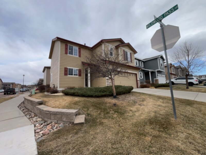 11704 Black Maple Ln in Colorado Springs, CO - Building Photo