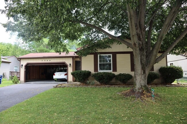 property at 7344 San Bonita Dr