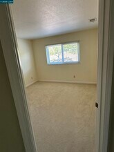 338 Newcastle Ln in Danville, CA - Building Photo - Building Photo