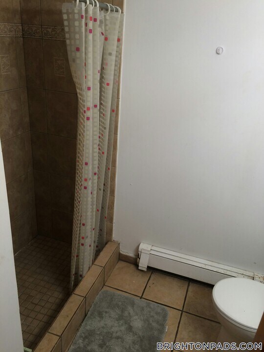 47 Orkney Rd in Boston, MA - Building Photo