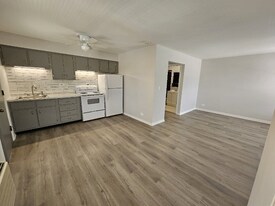 4855 Elm St in Skokie, IL - Building Photo