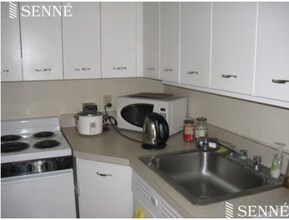29 Concord Ave, Unit 314 in Cambridge, MA - Building Photo - Building Photo