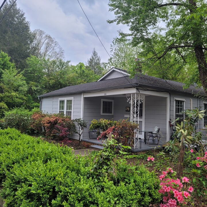 114 2nd St in Black Mountain, NC - Building Photo