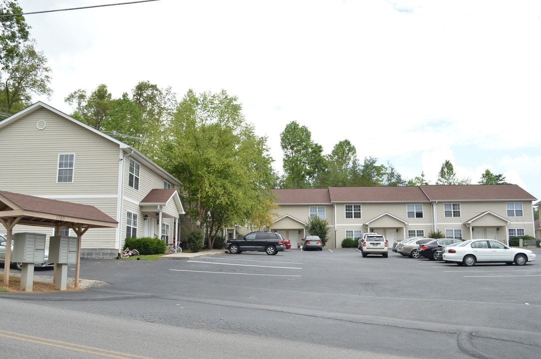 1705 Ogle Rd in Gatlinburg, TN - Building Photo