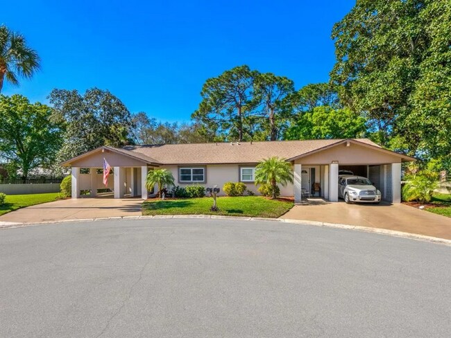 1624 Whitehead Dr in Sarasota, FL - Building Photo - Building Photo