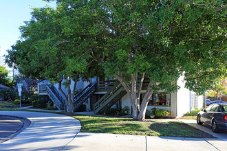 Maple Street Villas in Escondido, CA - Building Photo - Building Photo