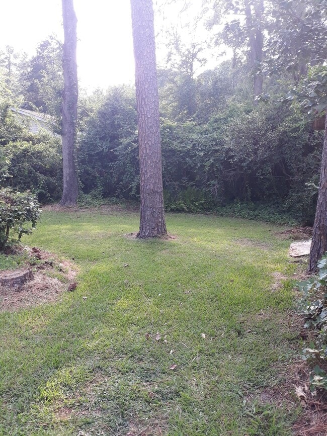 1432 Pine Valley Loop in Fayetteville, NC - Building Photo - Building Photo