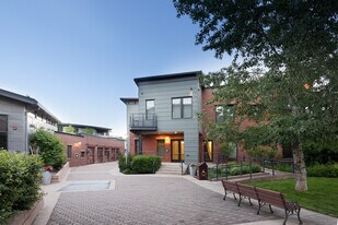 501 Rio Grande Pl in Aspen, CO - Building Photo