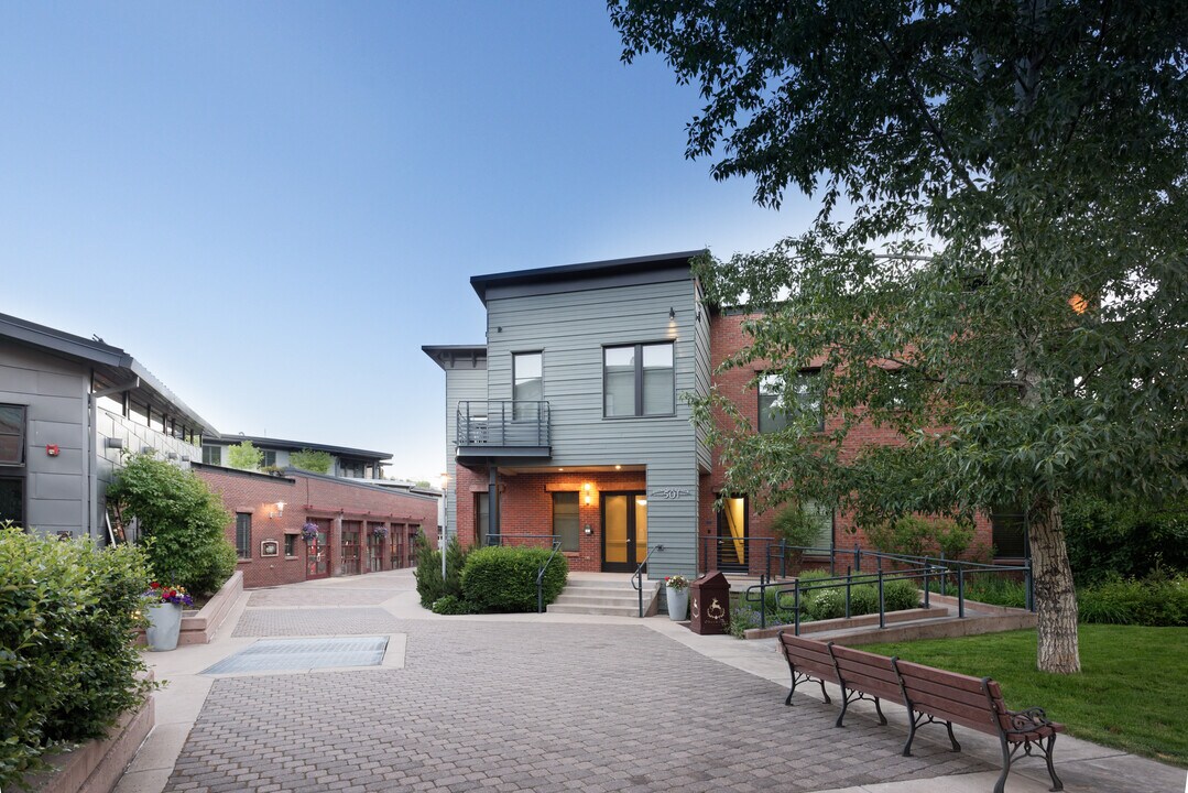 501 Rio Grande Pl in Aspen, CO - Building Photo