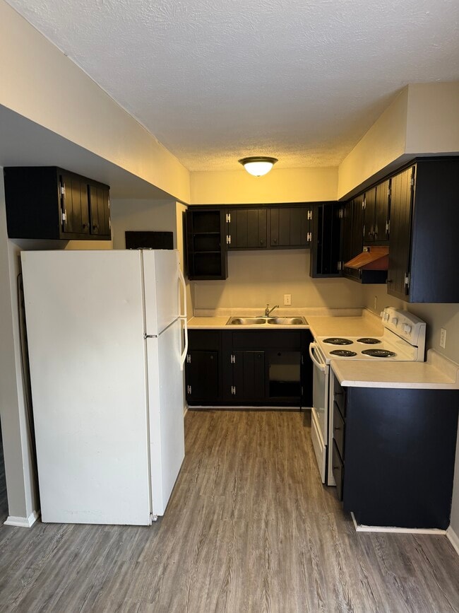 31 Elm St in Berea, KY - Building Photo - Building Photo