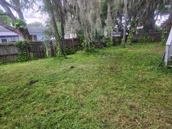 1594 Twin Oak Dr E in Middleburg, FL - Building Photo - Building Photo