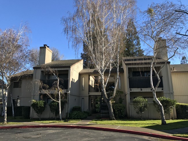 Stamford Court Apartments in Stockton, CA - Foto de edificio - Building Photo