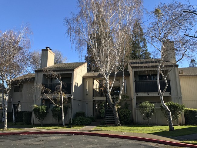 Stamford Court Apartments in Stockton, CA - Building Photo - Building Photo