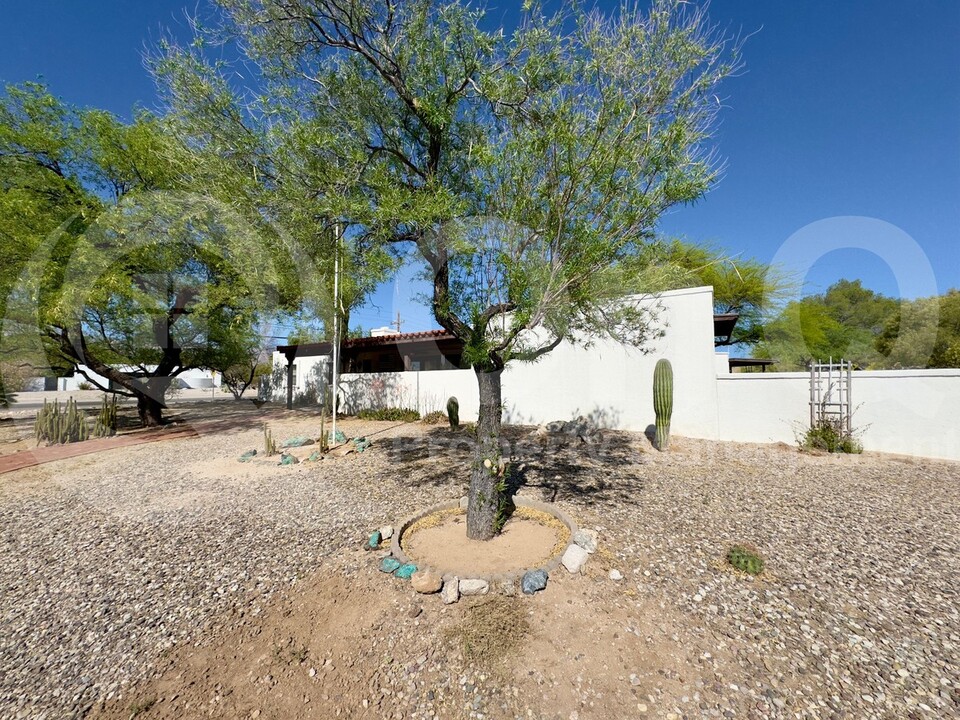 3360 N Camino De Piedras in Tucson, AZ - Building Photo