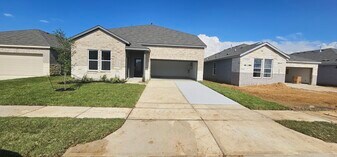 21518 Springhill Grove Ln in Waller, TX - Building Photo