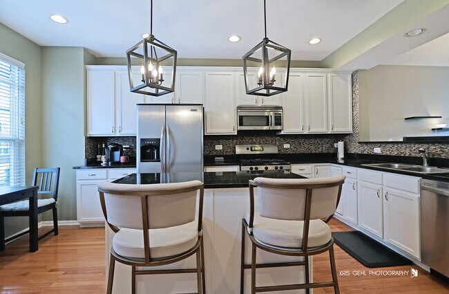372 W Wood St in Palatine, IL - Building Photo - Building Photo