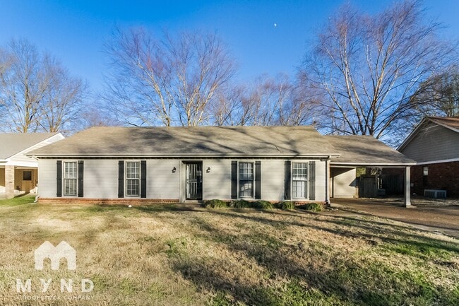 property at 4586 Leash Ln
