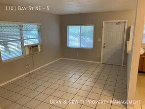 1101 Bay St NE in St. Petersburg, FL - Building Photo - Building Photo