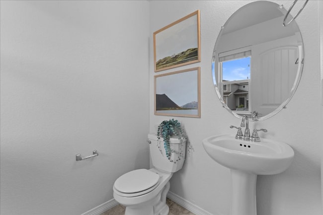 1848 Castle Hill Dr in Windsor, CO - Building Photo - Building Photo