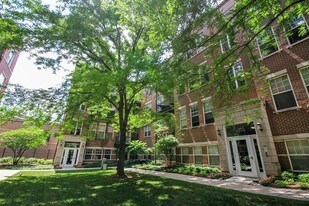 305 W Scott St in Chicago, IL - Building Photo