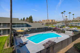 University Village Apartments in Riverside, CA - Foto de edificio - Other