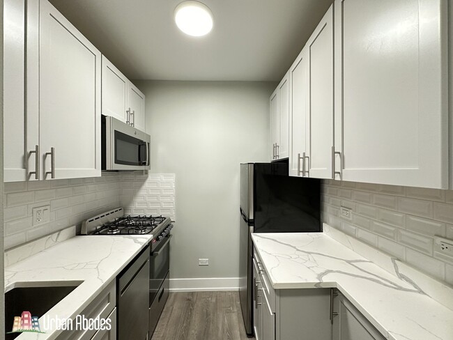 503 W Belmont Ave, Unit J06W in Chicago, IL - Building Photo - Building Photo