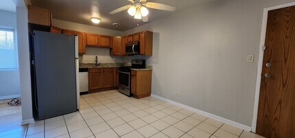 257 Washington Blvd in Oak Park, IL - Building Photo - Building Photo