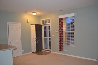 161 Springbrook Trail S in Oswego, IL - Building Photo - Building Photo