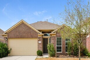 9957 Yearling Pl in Conroe, TX - Building Photo
