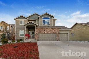10529 Mount Lincoln Dr in Peyton, CO - Building Photo