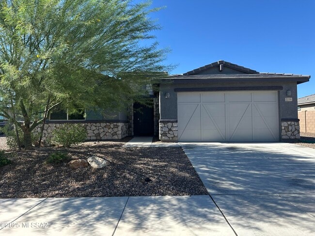 2238 W Azure Creek Loop in Oro Valley, AZ - Building Photo - Building Photo
