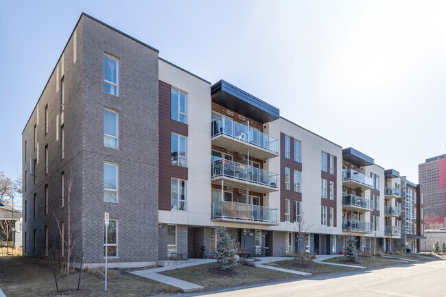 14 Morin St in Gatineau, QC - Building Photo - Building Photo
