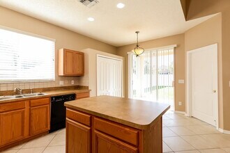 13614 Mere View Dr in Odessa, FL - Building Photo - Building Photo