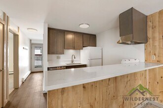 7213 Ryan Gulch Rd in Silverthorne, CO - Building Photo - Building Photo